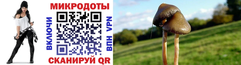 omg ССЫЛКА  Югорск  Псилоцибиновые грибы мухоморы 