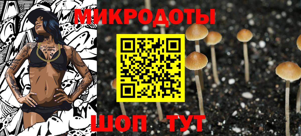 Галлюциногенные грибы Psilocybe  закладки  Югорск  Вход с VPN 