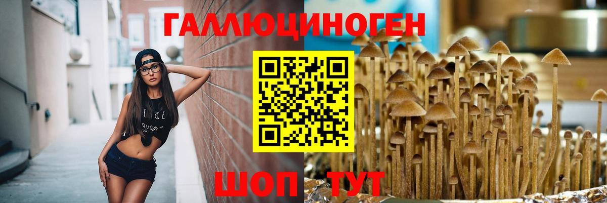 Псилоцибиновые грибы ЛСД  Югорск  Галлюциногенные грибы мухоморы 