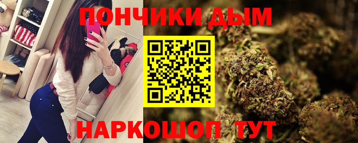 Бошки марихуана White Widow  Каннабис планчик  Вход с VPN  МАРИХУАНА конопля  Югорск 